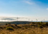 Occitanie & écologie: Quels objectifs équilibrés pour réussir la transition écologique en région ?