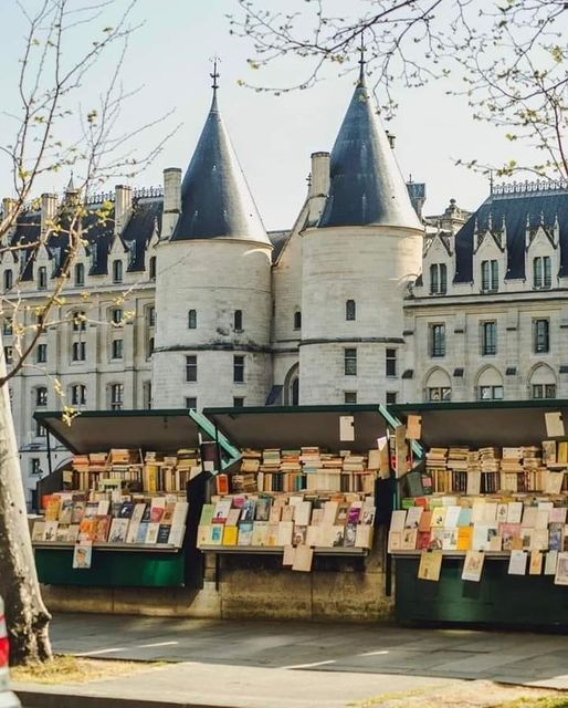 <span style='color:#f9b233;'>Livre :</span></br> JO 2024 : les bouquinistes parisiens priés de déménager