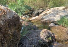 Sécheresse : l’Occitanie et la région PACA sous tension