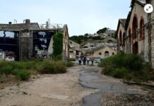 À Marseille, l’écologie sort de l’ombre