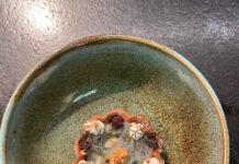 Chez Aliro le menu s’invente tous les jours