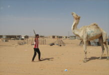 Macron valide le plan du Maroc au Sahara occidental