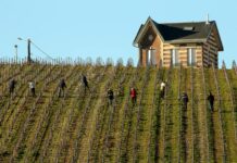 Après 8 années de lutte, dernier acte du combat juridique