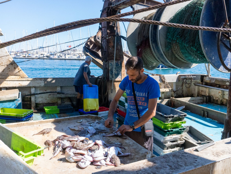 Pêcheurs à Sète