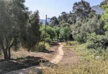Marseille : les friches naturelles au cœur d’une nouvelle citoyenneté