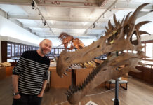 Au Musée de Lodève, fossiles de légende et mythes scientifiques