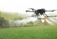 Loi Duplomb : « des mesures mortifères pour le vivant »