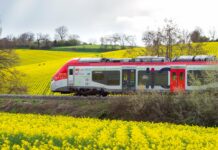 Les premier pas de la SERM Montpellier Méditerranée