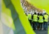 L’Appel d’artistes à rejoindre les Gilets jaunes