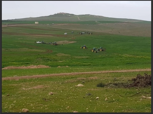 Des tracteurs arrivent à Tel Arad pour raser les récoltes mercredi 18 mars (MEE/Me’eqel Al Hawashla)