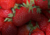 Covid-19: Enseignants – Le mauvais goût des fraises de Sibeth reste en bouche Fraises-Sibeth