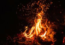 La ZAT a rempli son contrat