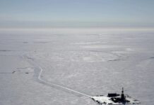 Projet pétrolier Willow en Alaska : « l’effroyable trahison » de Biden