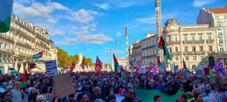 <span style='color:#f9b233;'>Manifestation à Montpellier :</span></br> « Libérez Gaza Libérez la Palestine »