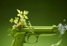 Galerie Enlazar. Isabelle Causse : « Le mot politique me fait rêver »