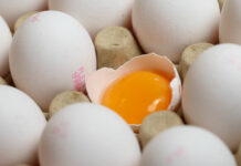 Alerte à la « contamination généralisée » des aliments par les PFAS