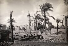 Trésors sauvés de Gaza, 5000 ans d’histoire