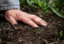 La Chambre d’agriculture du Gard  s’exprime à propos de la loi Duplomb