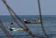 Une histoire particulière dans l’enfer de Gaza