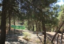 Charniers : les familles cherchent les restes de leurs chers disparus