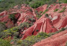 Les Terres d’Hérault propulsées sur la scène mondiale