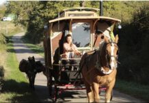 Mobilité : ce qu’elle permet… et ce qu’elle ne permet plus