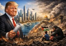 Quand la « paix » naît à Davos, la justice est enterrée à Gaza