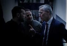 À Carcassonne, le cinéma politique reprend la parole