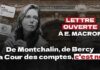 Lettre ouverte à Emmanuel Macron: Cour des comptes : l’inquiétante nomination d’Amélie de Montchalin