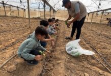 Lutter contre la Famine à Gaza, soutenir les initiatives de l’UJFP